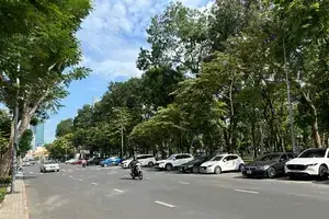 Thu Phí Đỗ Xe Ô Tô Dưới Lòng Đường: Hướng Dẫn Toàn Diện Cho Tài Xế Thu Phí Đỗ Xe Ô Tô Dưới Lòng Đường: Hướng Dẫn Toàn Diện Cho Tài Xế