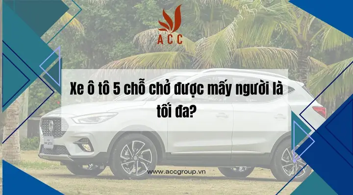 Xe Ô Tô 5 Chỗ Chở Được Mấy Người Tối Đa? Quy Định Chi Tiết 2026