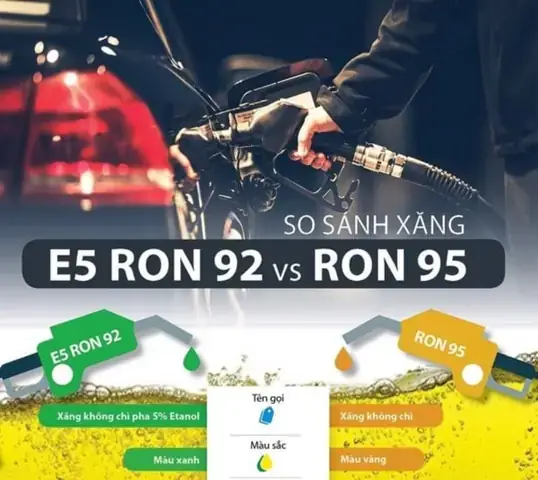 Xe Ô Tô Nên Đổ Xăng E5 Hay A95? Phân Tích Chi Tiết Từ Chuyên Gia