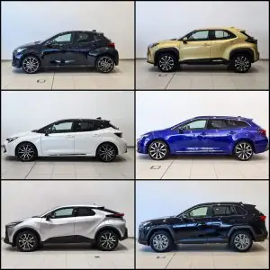 Gamma Toyota