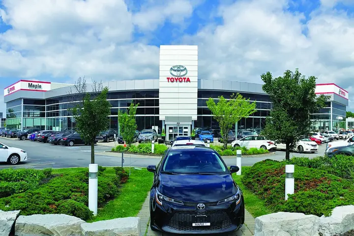 Maple Toyota Maple Toyota