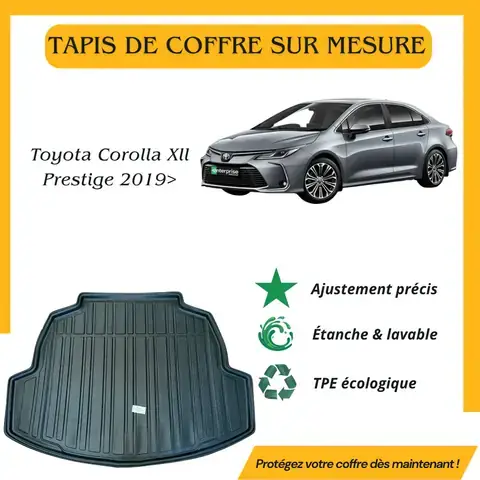 Tapis Toyota