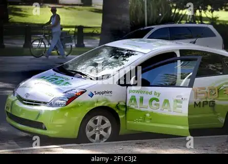 Toyota Algae Toyota Algae