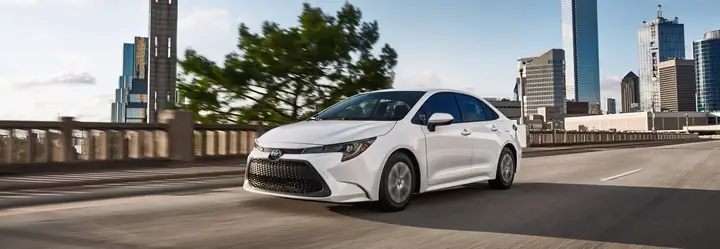 Toyota Avon