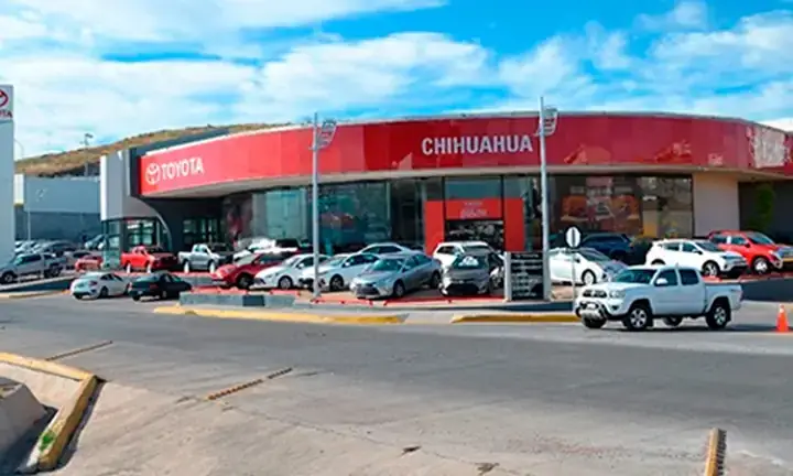 Toyota Chihuahua Toyota Chihuahua