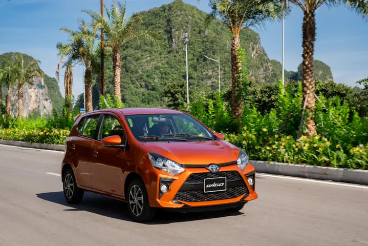 Toyota Go