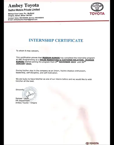 Toyota Internship