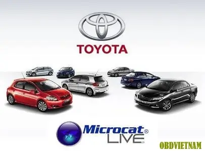 Toyota Live