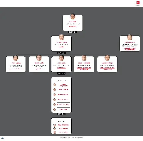 Toyota Organizational Structure