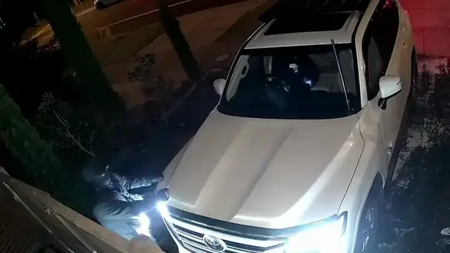 Toyota Owners