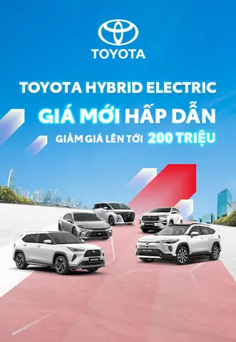 Toyota Vie