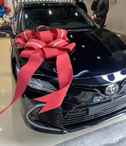 Toyota Voz