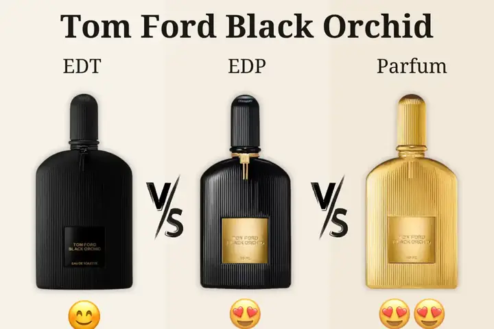 Ford Versus Toyota