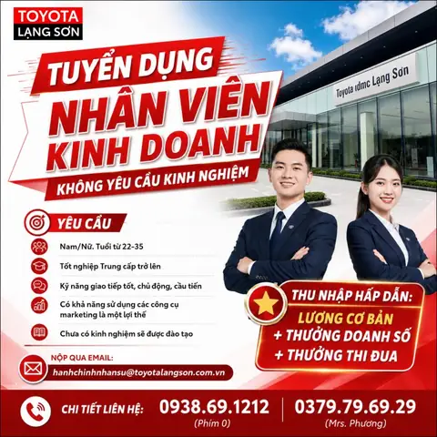 Lương Nhân Viên Kinh Doanh Toyota Lương Nhân Viên Kinh Doanh Toyota