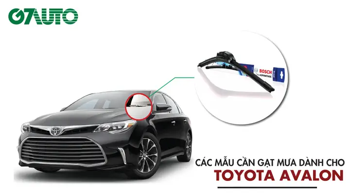 Mua Xe Toyota Avalon