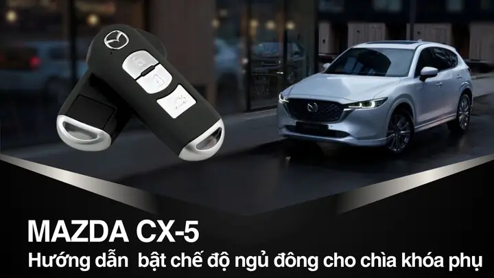 Ngủ Đông Chìa Khoá Toyota