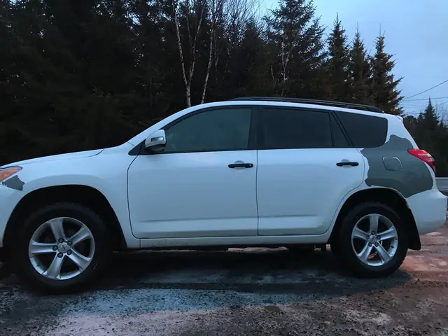 Paint Problems On Toyota Rav4