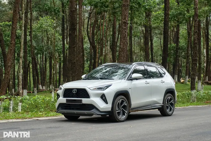 Phân Biệt Các Xe Toyota