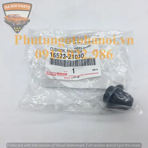Phu Tung Oto Toyota Vios