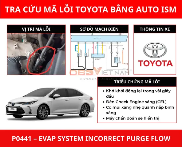 Purge Vsv Toyota Là Gì