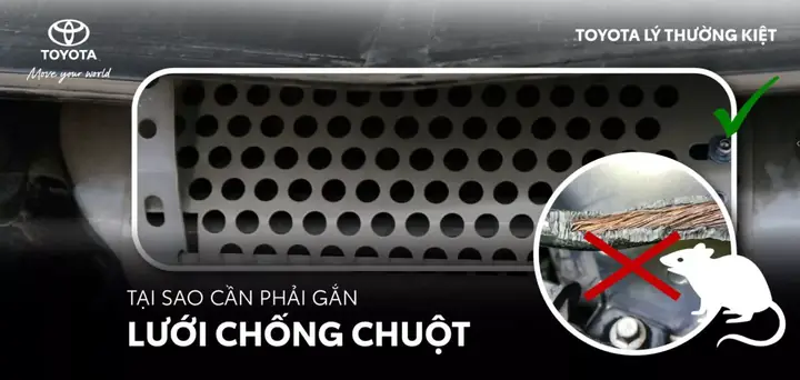 Tai Sao Nen Chon Toyota Tai Sao Nen Chon Toyota