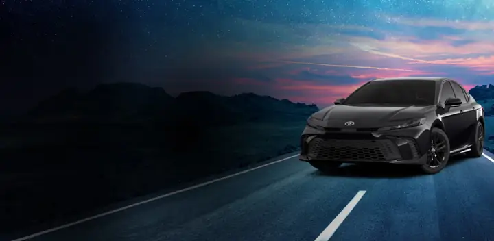 Team One Toyota Rainbow City