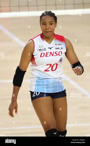 Toyota Auto Body Queenseis Volleyball Toyota Auto Body Queenseis Volleyball