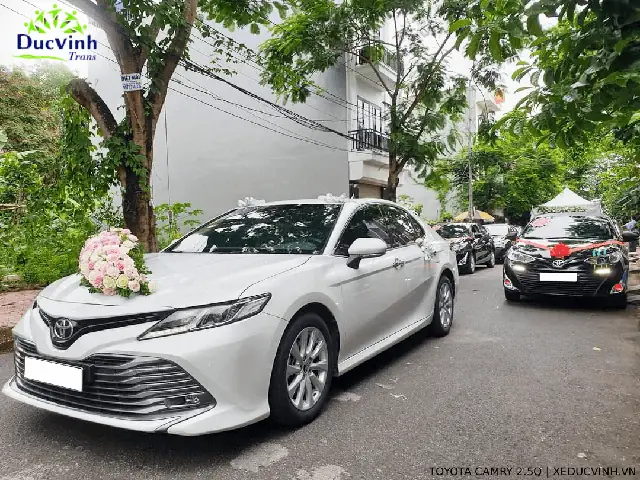 Toyota Camry 2.0e 2019 Png