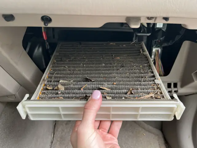 Toyota Camry Cabin Air Filter Toyota Camry Cabin Air Filter