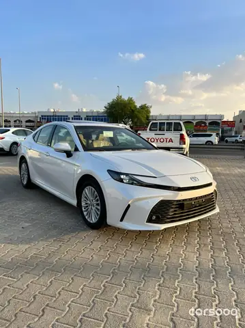 Toyota Camry Xle White 2019 Toyota Camry Xle White 2019
