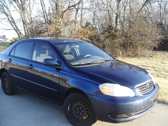 2008 Navy Blue Toyota Corolla 3 Door