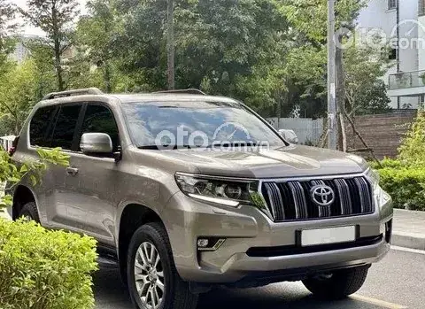 2019 Toyota Land Cruiser Toyota Suv