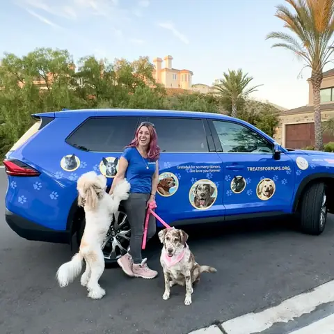 Best Toyota Dealership In Southern California