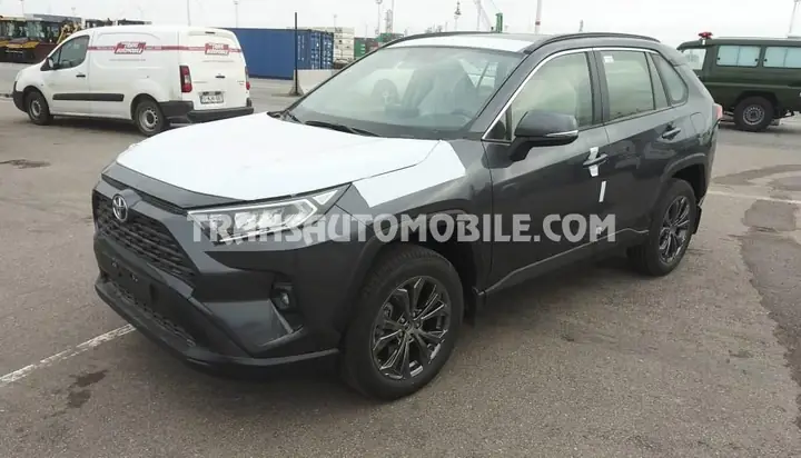 Cesky Manual Toyota Rav 4 2019