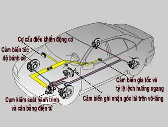 Cơ Cấu Cân Bằng Điện Tử Xe Toyota Lancruiser