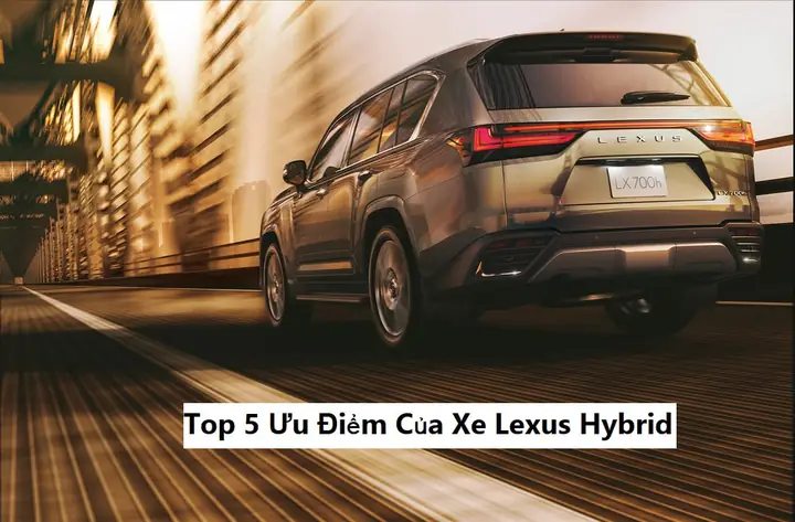Công Ty Toyota Lexus Trần Hưng Đạo Q1 Tphcm