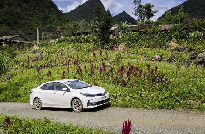Doanh Số Bán Hàng Của Toyota 2019