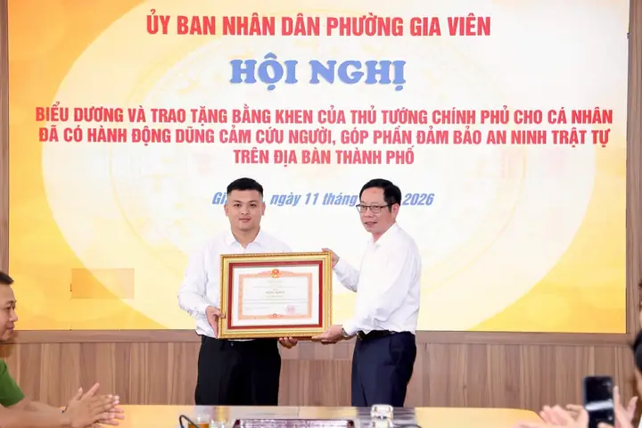 Fnews Kênh Woman Font Chữ Của Toyota