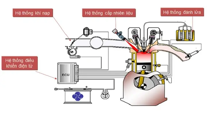 Hệ Thống Nhiên Liệu Động Cơ Toyota D 4d