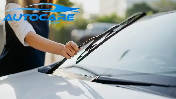 Kèn Xi Nhan Toyota Denso Cầm Rung Bị Kêu