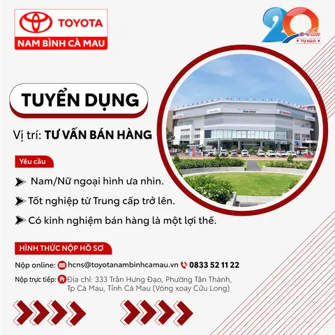 Kinh Nghiệm Thi Tuyển Toyota Việt Nam