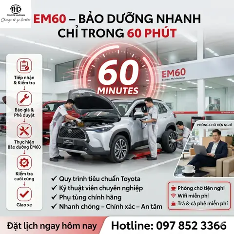 Lich Lam Viec Toyota Quy Nhơn