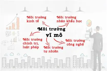 Môi Trường Vi Mô Của Toyota