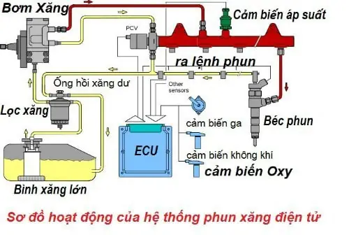 Nguyên Lý Hoạt Động Của Bơm Xăng Toyota 3s Nguyên Lý Hoạt Động Của Bơm Xăng Toyota 3s