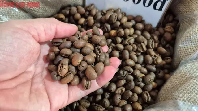 Password Tài Liệu Toyota Team 21