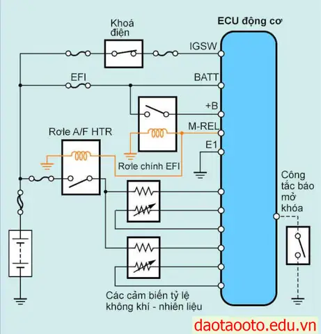 Sơ Đồ Đấu Dây Ecu Của Toyota Vios