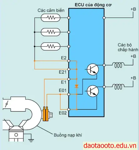 Sơ Đồ Đấu Dây Ecu Của Toyota Vios Sơ Đồ Đấu Dây Ecu Của Toyota Vios