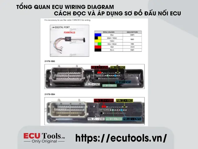 Sơ Đồ Đấu Dây Ecu Của Toyota Vios Sơ Đồ Đấu Dây Ecu Của Toyota Vios