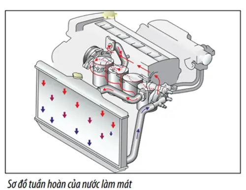 So Đô Làm Mat Cua Toyota