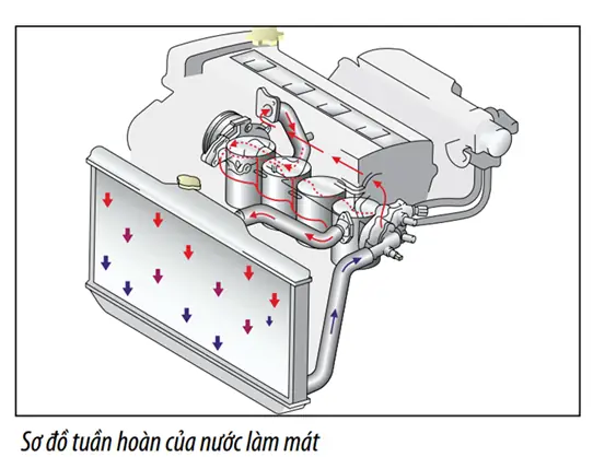 So Đô Làm Mat Cua Toyota So Đô Làm Mat Cua Toyota
